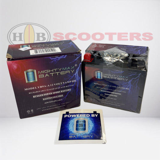 Royal Alloy Battery for 150cc & S300i models