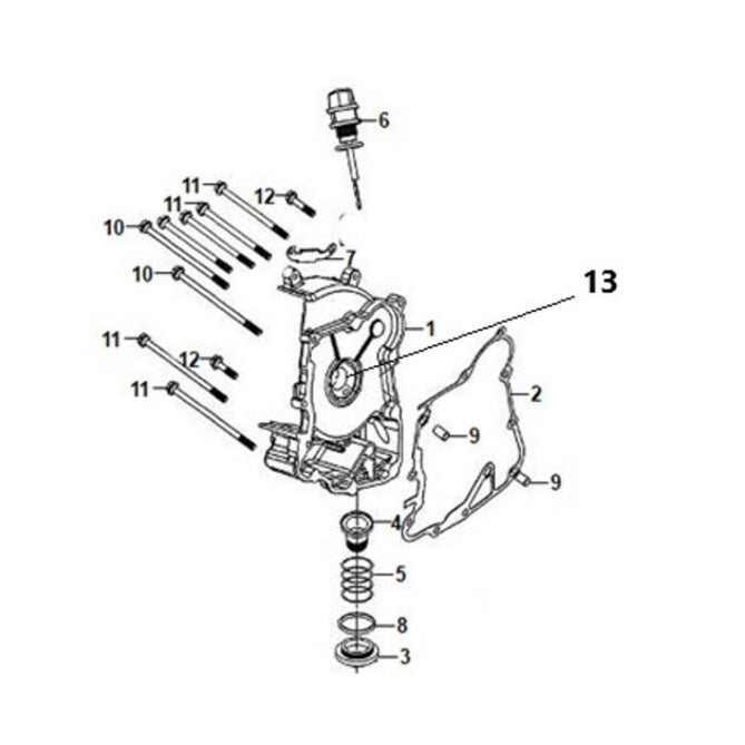 E 06 -  R Crank Case Cover - Cali Classic 200i