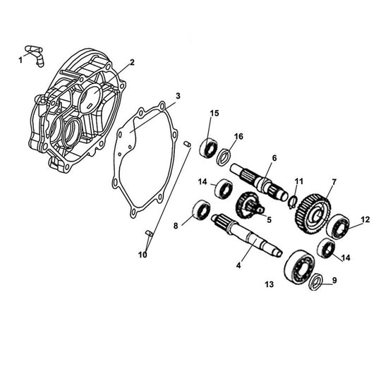 E 14 Transmission - Lance Cali Classic 125cc