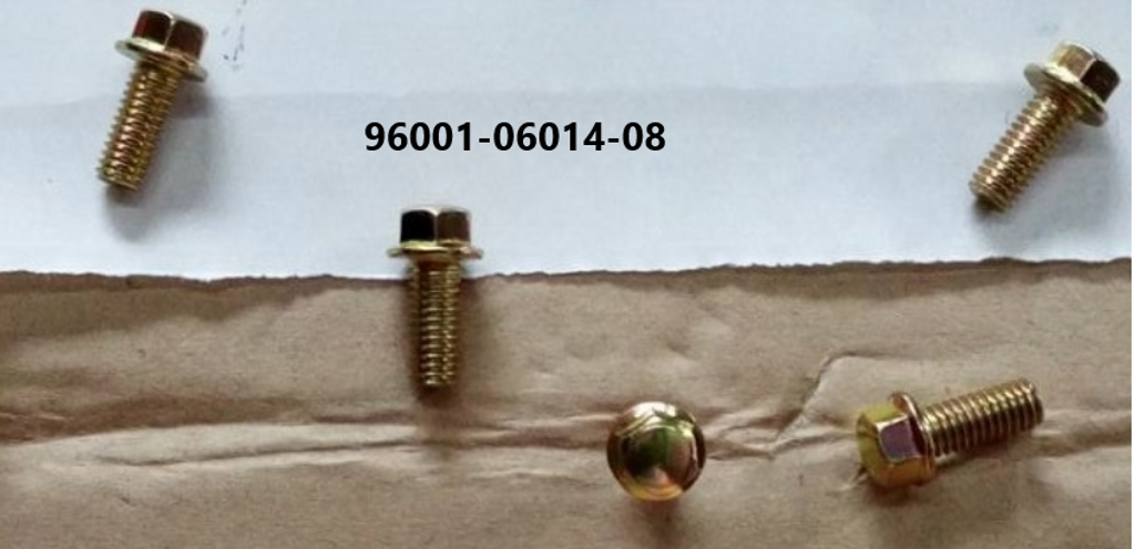 E 12 Drive Case / Kick Starter Spindle for Lance Cali Classic 125cc