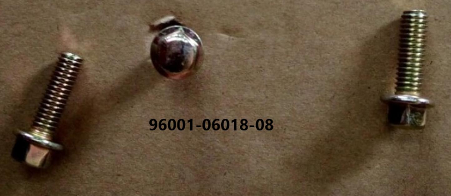 E 08 Generator/Fly Wheel for Lance Cali Classic 125cc