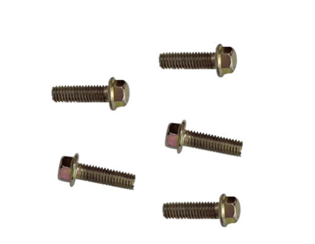 E 08 Generator/Fly Wheel for Lance Cali Classic 125cc