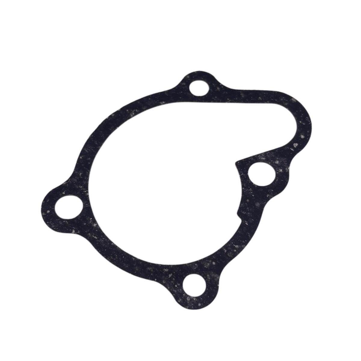 OEM SYM Citycom, HD 200, Wolf CR 300 Water Pump Gasket 19229-H9A-000 (Original)
