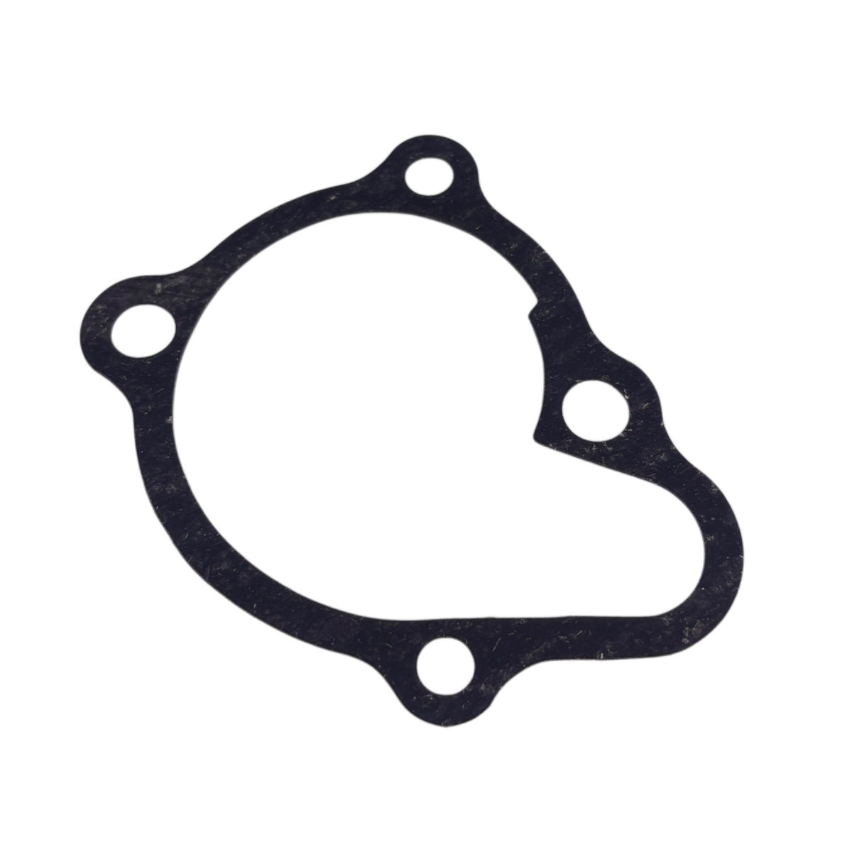 OEM SYM Citycom, HD 200, Wolf CR 300 Water Pump Gasket 19229-H9A-000 (Original)